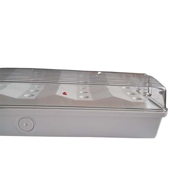 Luce di emergenza impermeabile non mantenuta, ritardante di fiamma, custodia in ABS, IP65, LED, durata 3 ore, EL015AN