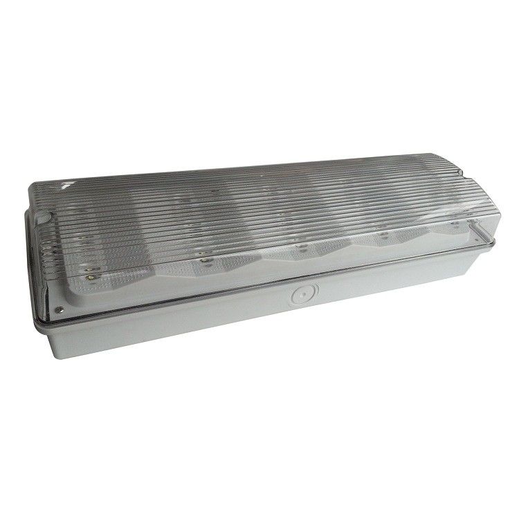Luce di emergenza a LED impermeabile per montaggio a soffitto, autodiagnostica, IP65, non mantenuta, 50Hz 60Hz EL015ANT