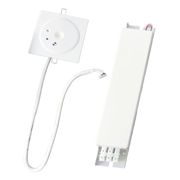 Luce di emergenza a LED ricaricabile da incasso IP45 Custom Non Maintained da 1W con batteria di riserva, piastra in PC