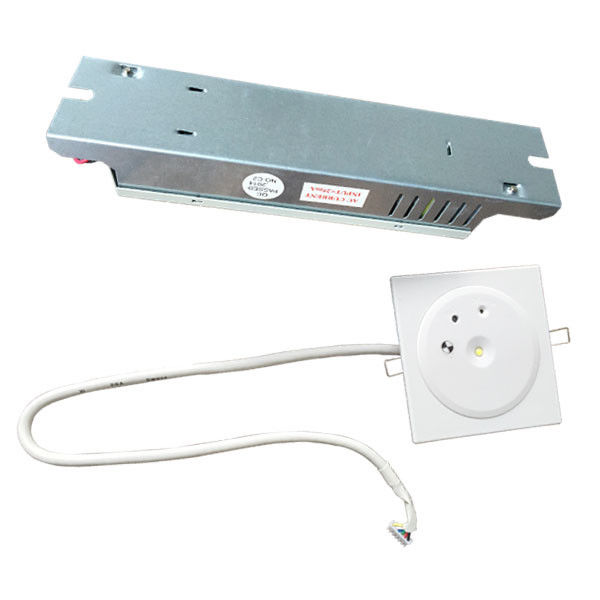 Luce di emergenza a LED ricaricabile da incasso IP45 Custom Non Maintained da 1W con batteria di riserva, piastra in PC