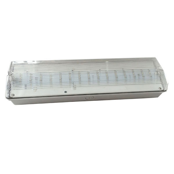 Luce di emergenza impermeabile a batteria auto-testante per esterni IP65, per luoghi umidi, ricaricabile EL030AN