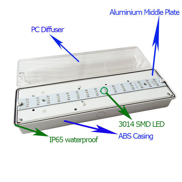 Luce di emergenza impermeabile a batteria auto-testante per esterni IP65, per luoghi umidi, ricaricabile EL030AN